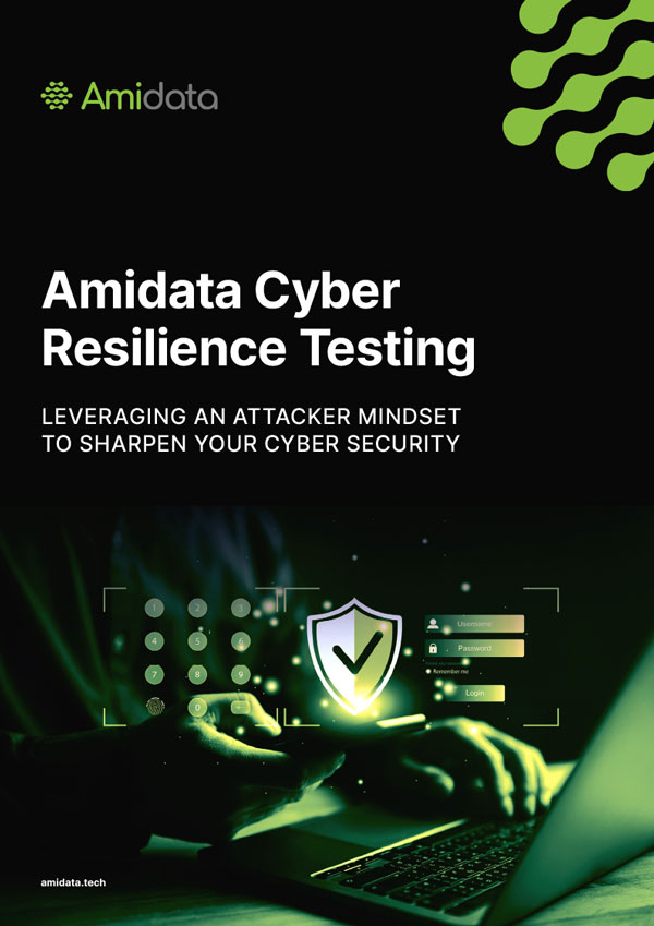Amidata Cyber Resilience Testing